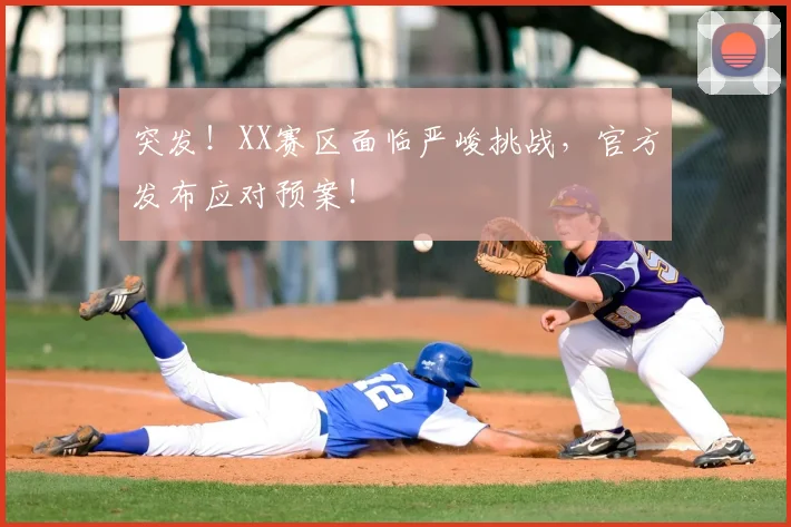 突发!XX赛区面临严峻挑战,官方发布应对预案!