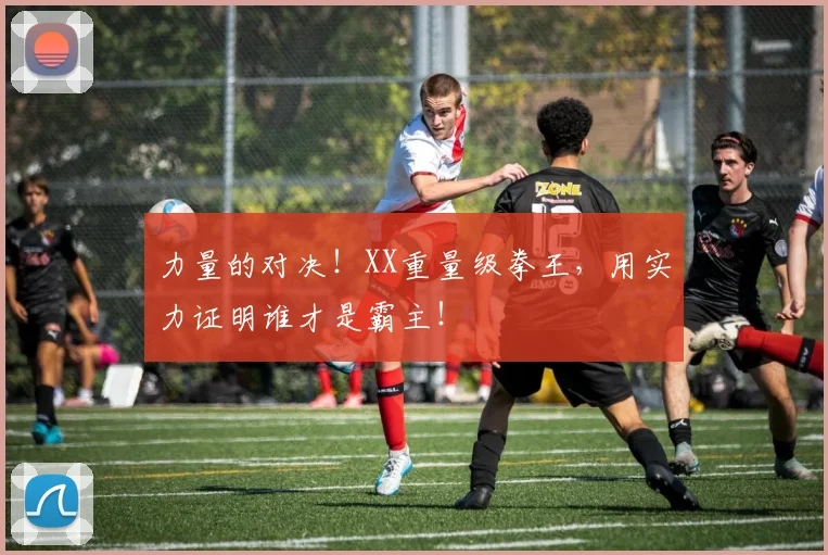力量的对决！XX重量级拳王，用实力证明谁才是霸主！